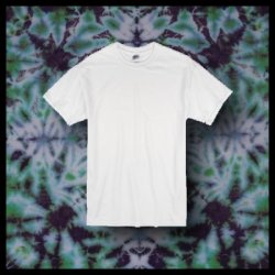 (image for) Youth Tee Shirt